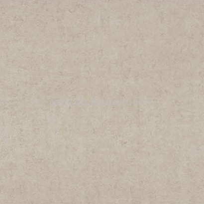 Floor_Tile--Porcelain_Tile,600X600mm[GX],C61215